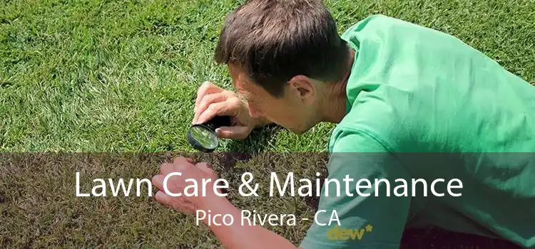 Lawn Care & Maintenance Pico Rivera - CA