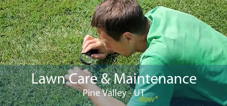 Lawn Care & Maintenance Pine Valley - UT