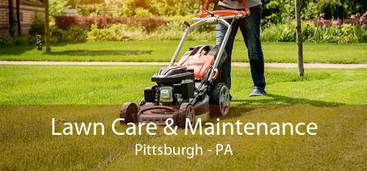  Lawn Care & Maintenance Pittsburgh - PA