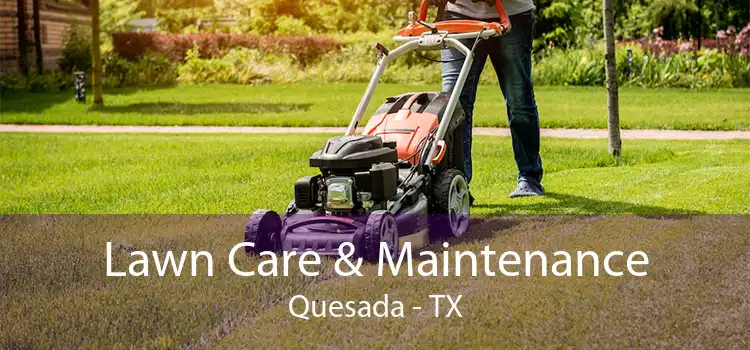 Lawn Care & Maintenance Quesada - TX