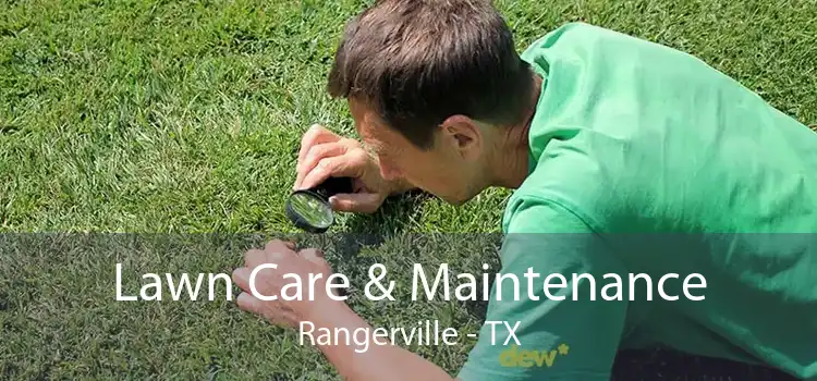 Lawn Care & Maintenance Rangerville - TX