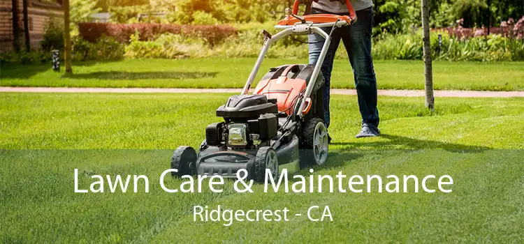 Lawn Care & Maintenance Ridgecrest - CA