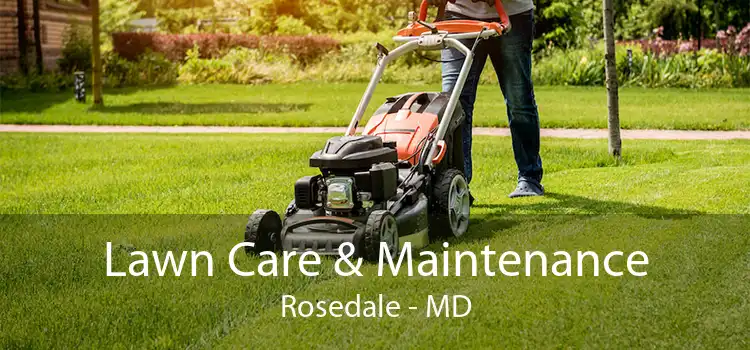  Lawn Care & Maintenance Rosedale - MD