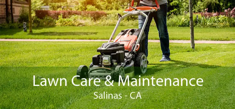Lawn Care & Maintenance Salinas - CA