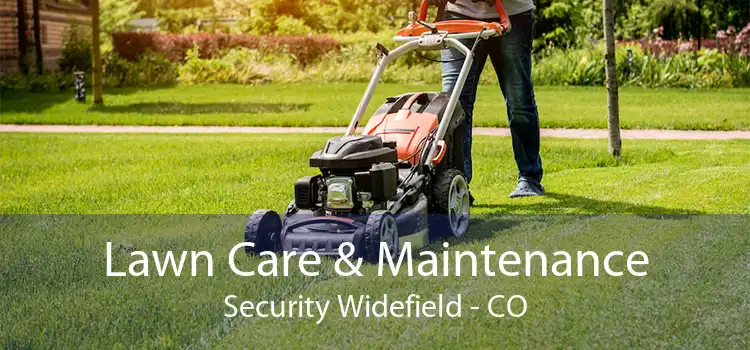 Lawn Care & Maintenance Security Widefield - CO