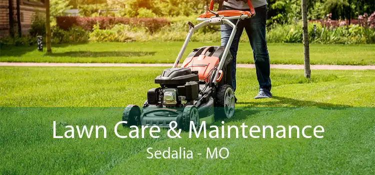 Lawn Care & Maintenance Sedalia - MO