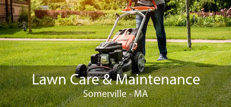 Lawn Care & Maintenance Somerville - MA