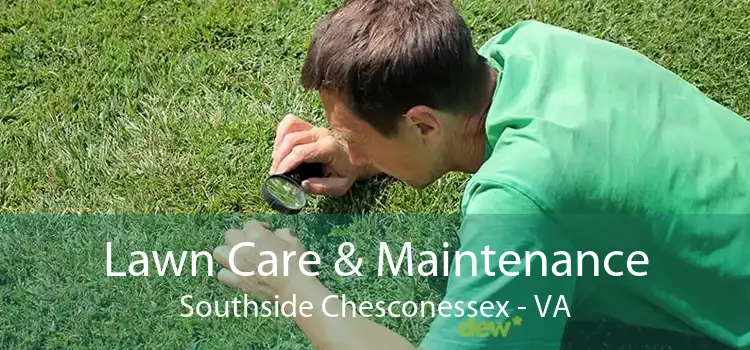 Lawn Care & Maintenance Southside Chesconessex - VA