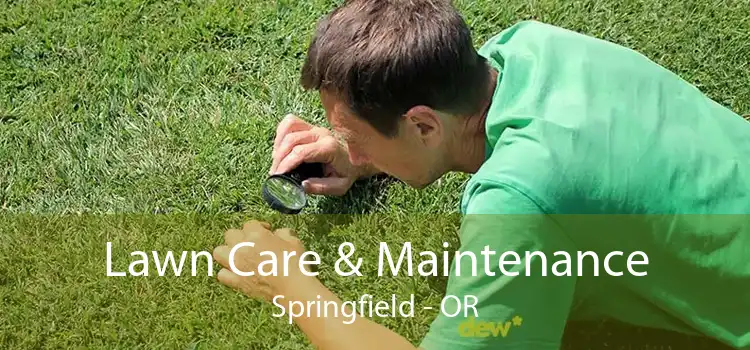 Lawn Care & Maintenance Springfield - OR