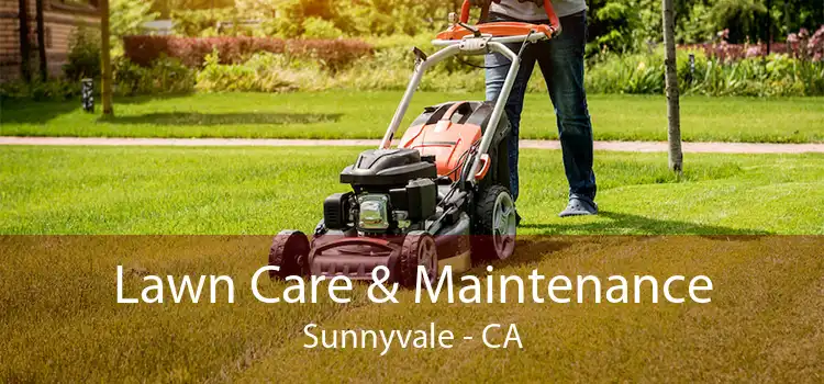  Lawn Care & Maintenance Sunnyvale - CA