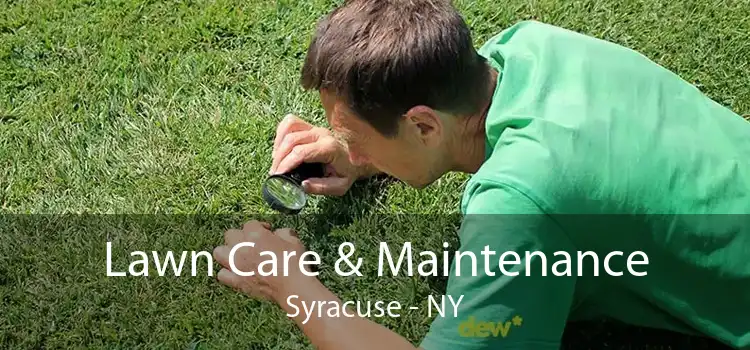 Lawn Care & Maintenance Syracuse - NY