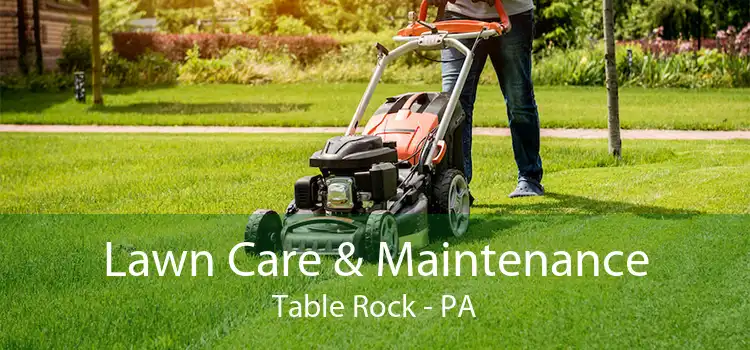  Lawn Care & Maintenance Table Rock - PA