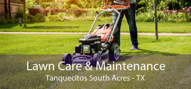 Lawn Care & Maintenance Tanquecitos South Acres - TX