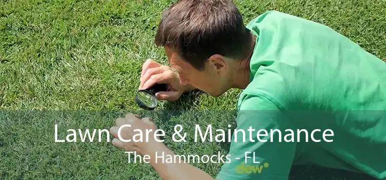 Lawn Care & Maintenance The Hammocks - FL
