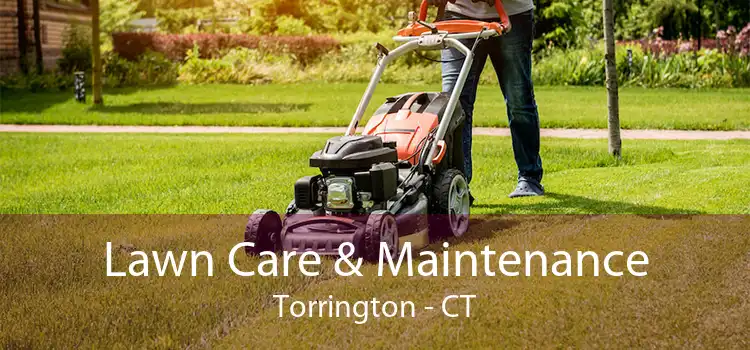  Lawn Care & Maintenance Torrington - CT
