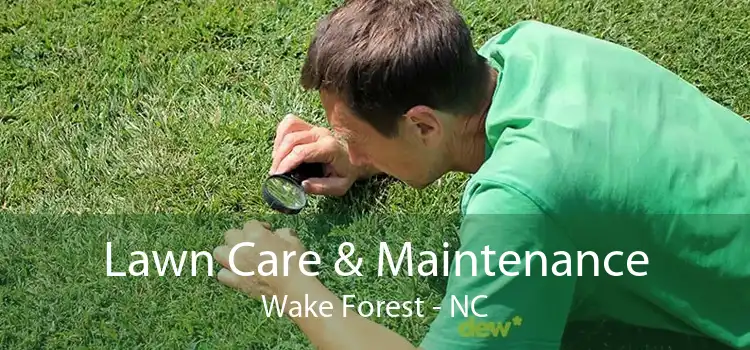 Lawn Care & Maintenance Wake Forest - NC