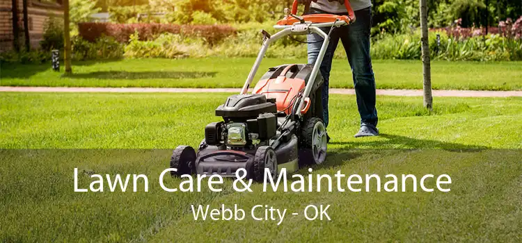 Lawn Care & Maintenance Webb City - OK