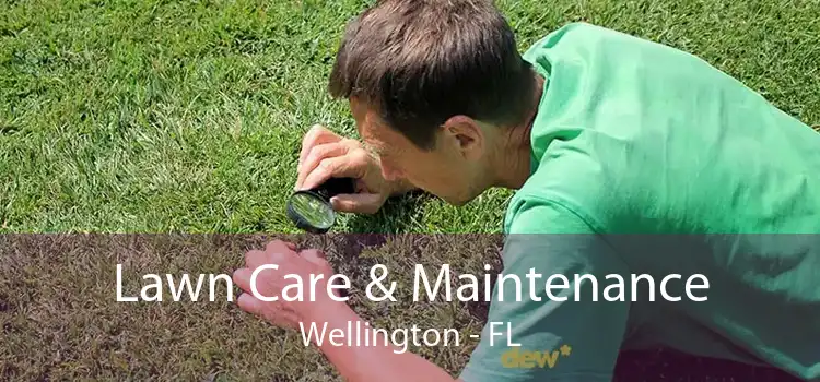 Lawn Care & Maintenance Wellington - FL