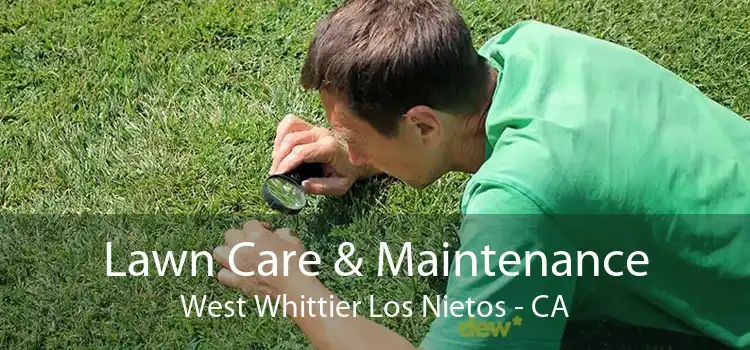 Lawn Care & Maintenance West Whittier Los Nietos - CA
