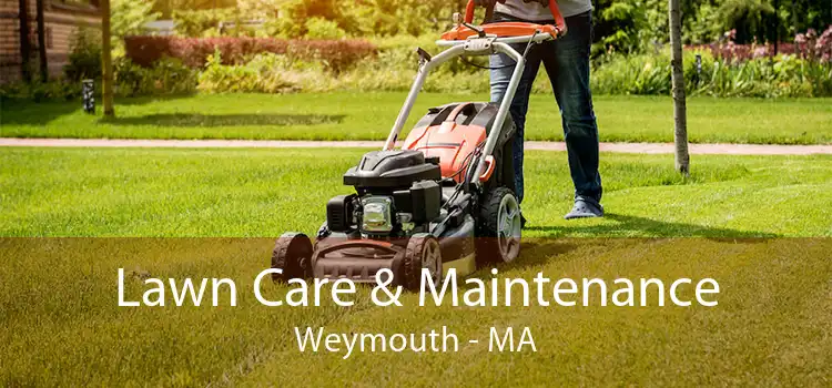 Lawn Care & Maintenance Weymouth - MA