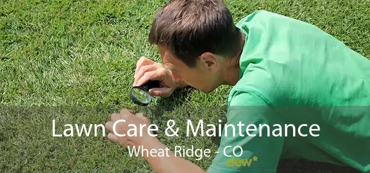 Lawn Care & Maintenance Wheat Ridge - CO