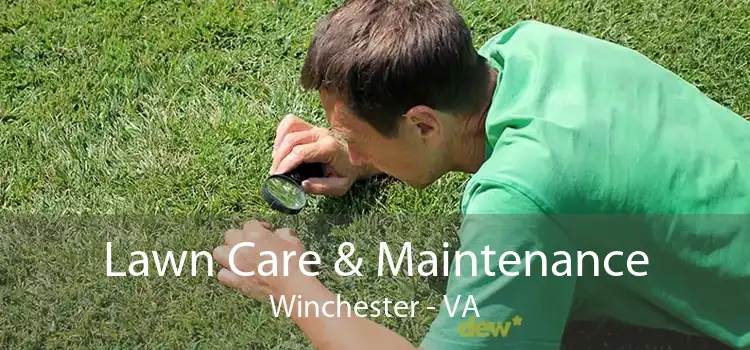 Lawn Care & Maintenance Winchester - VA