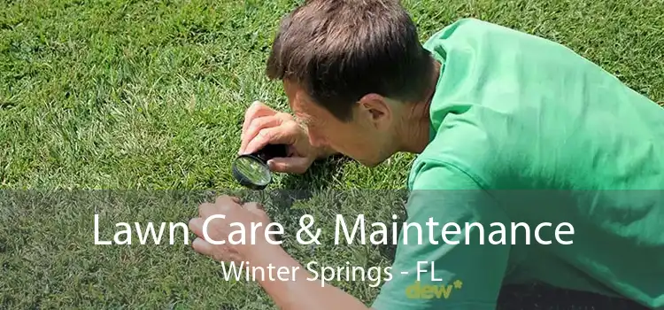 Lawn Care & Maintenance Winter Springs - FL
