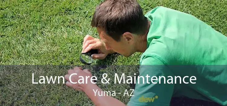 Lawn Care & Maintenance Yuma - AZ