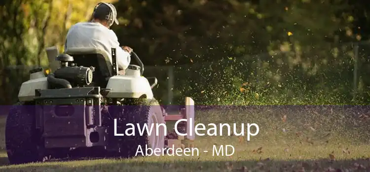 Lawn Cleanup Aberdeen - MD