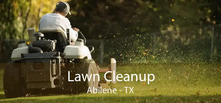 Lawn Cleanup Abilene - TX