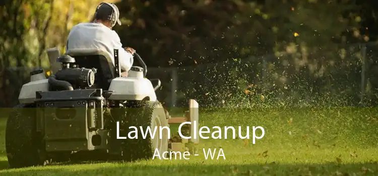 Lawn Cleanup Acme - WA