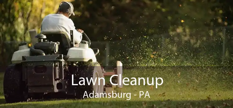Lawn Cleanup Adamsburg - PA