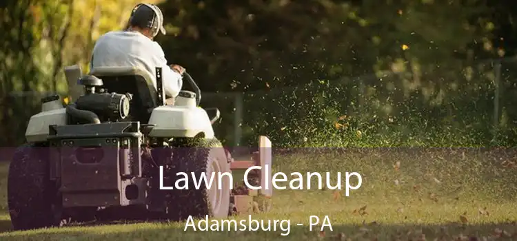 Lawn Cleanup Adamsburg - PA