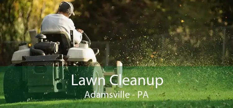 Lawn Cleanup Adamsville - PA