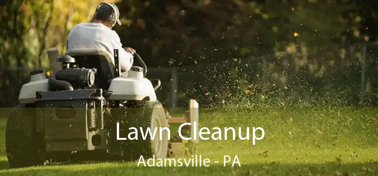 Lawn Cleanup Adamsville - PA