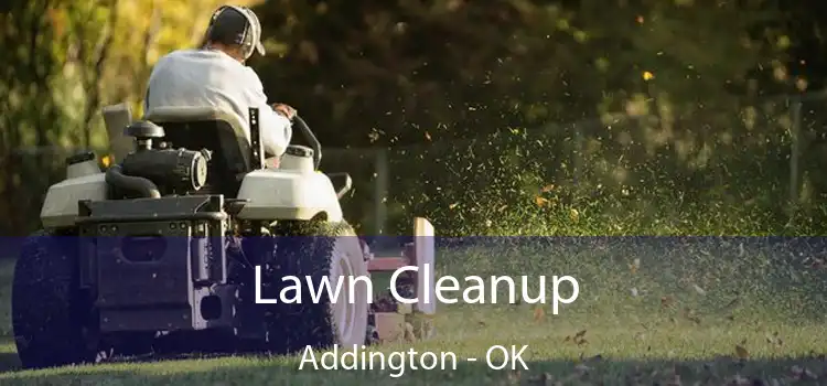 Lawn Cleanup Addington - OK