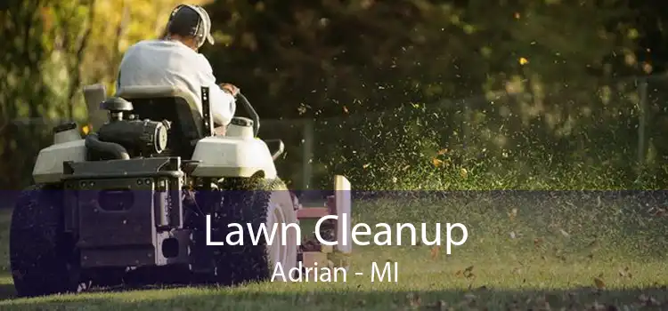 Lawn Cleanup Adrian - MI