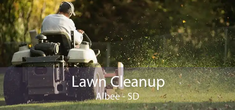 Lawn Cleanup Albee - SD