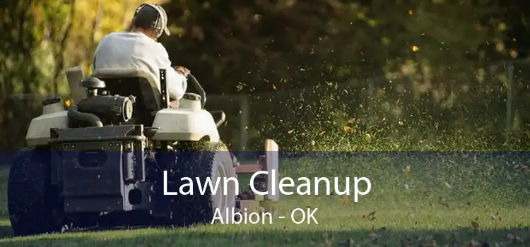 Lawn Cleanup Albion - OK