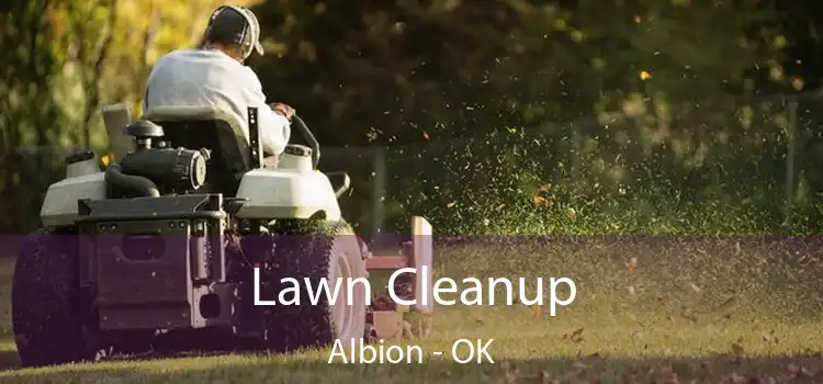 Lawn Cleanup Albion - OK