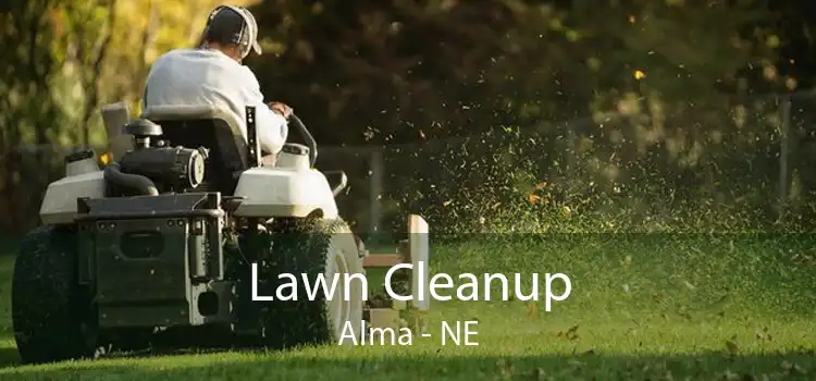 Lawn Cleanup Alma - NE