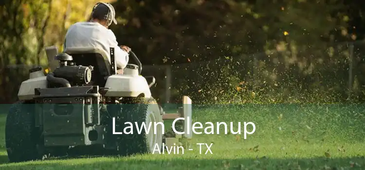 Lawn Cleanup Alvin - TX