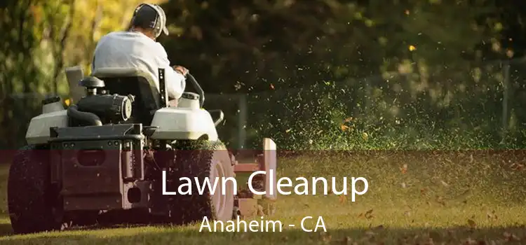 Lawn Cleanup Anaheim - CA