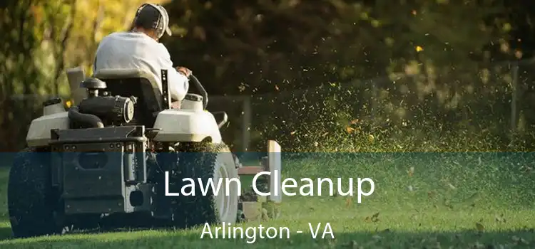 Lawn Cleanup Arlington - VA