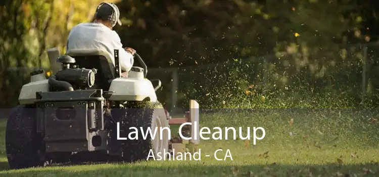 Lawn Cleanup Ashland - CA