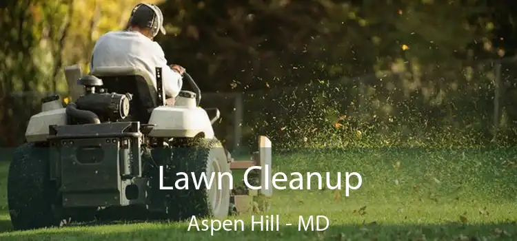 Lawn Cleanup Aspen Hill - MD