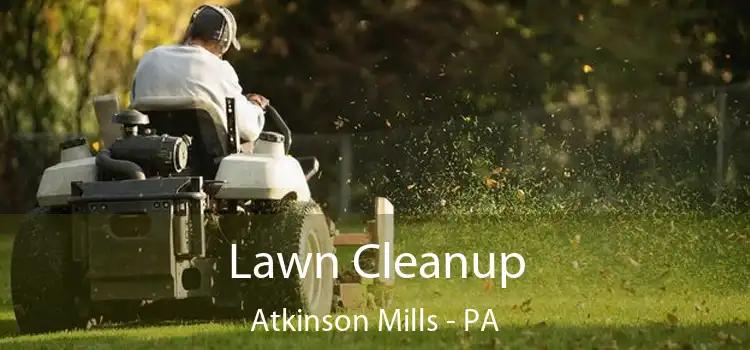 Lawn Cleanup Atkinson Mills - PA