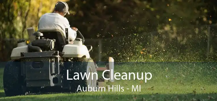 Lawn Cleanup Auburn Hills - MI