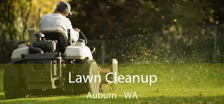  Lawn Cleanup Auburn - WA
