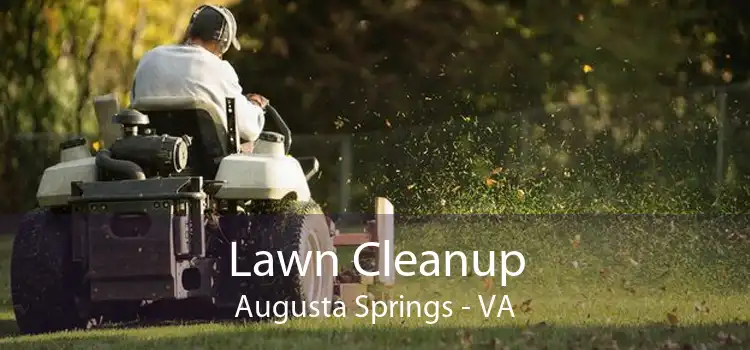 Lawn Cleanup Augusta Springs - VA
